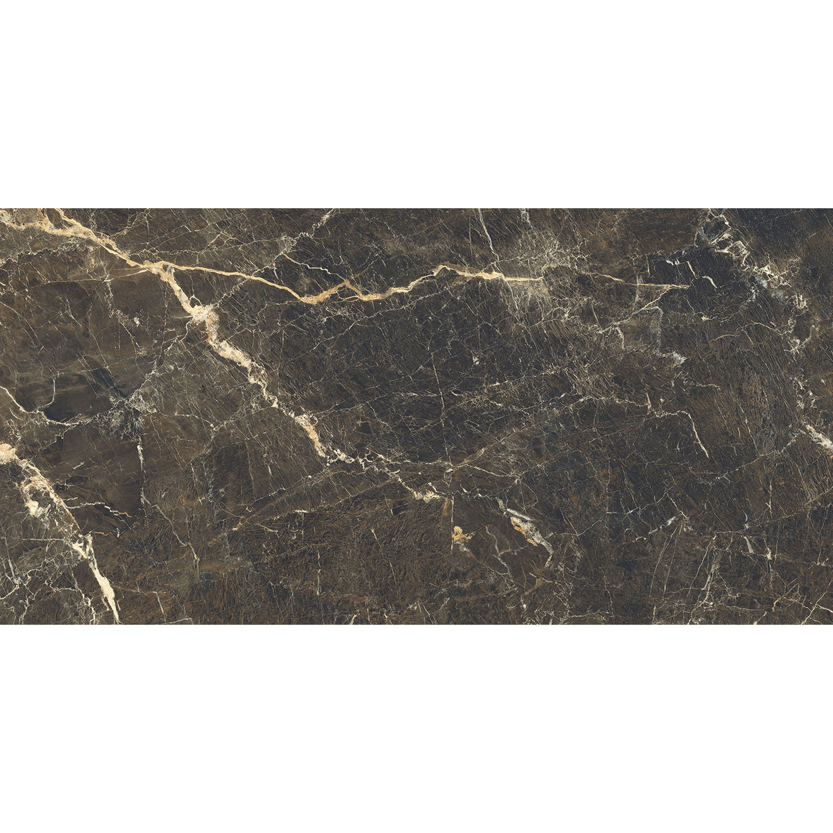 P-DUKE STONE POL 239.8X119.8 GAT.I