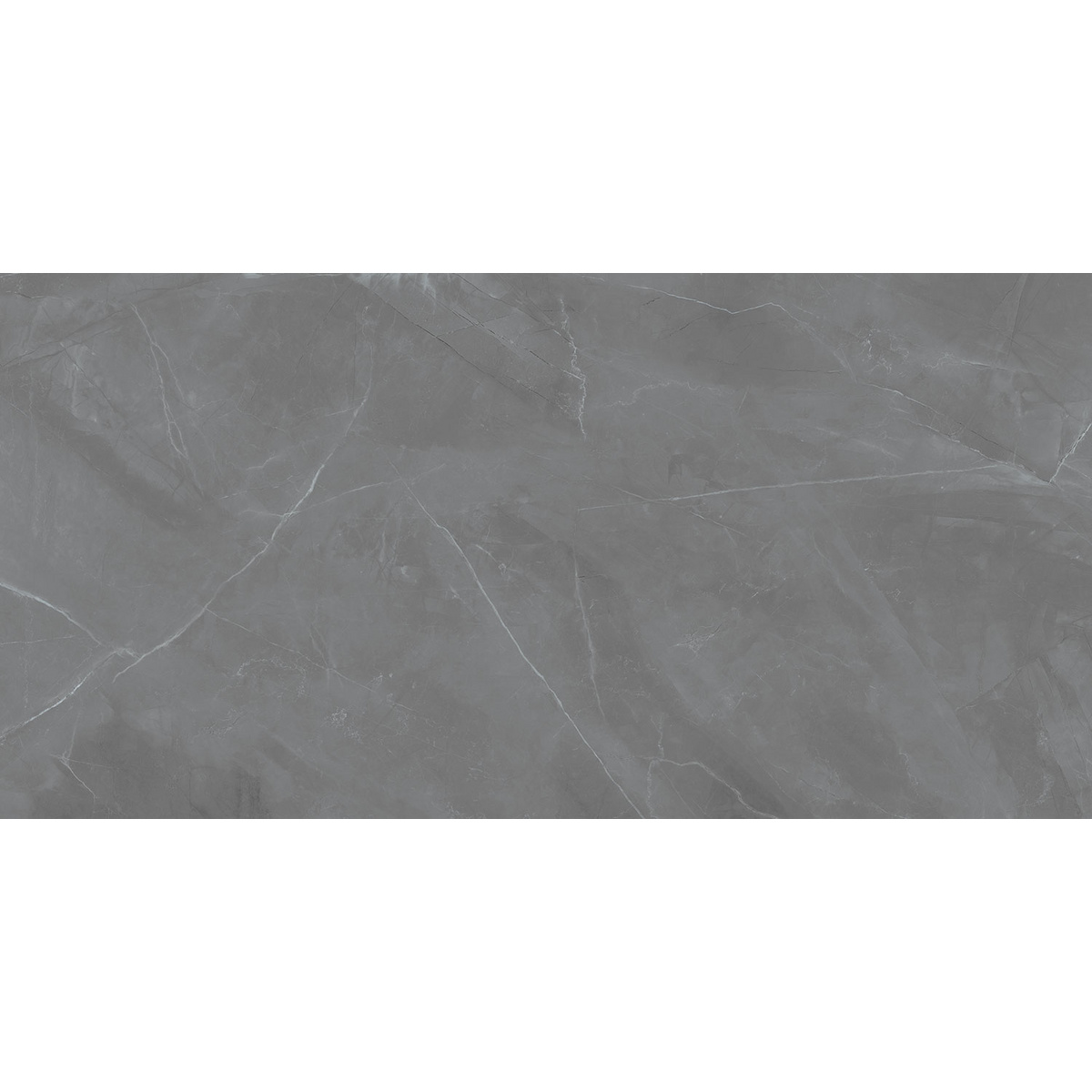 P-GREY PULPIS SAT 239.8X119.8 GAT.I